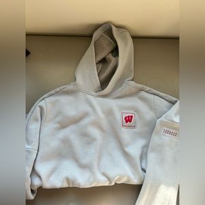 Wisconsin Badger Under Armour Hoodie